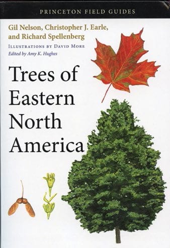 Trees of Eastern North America - Adirondack Explorer