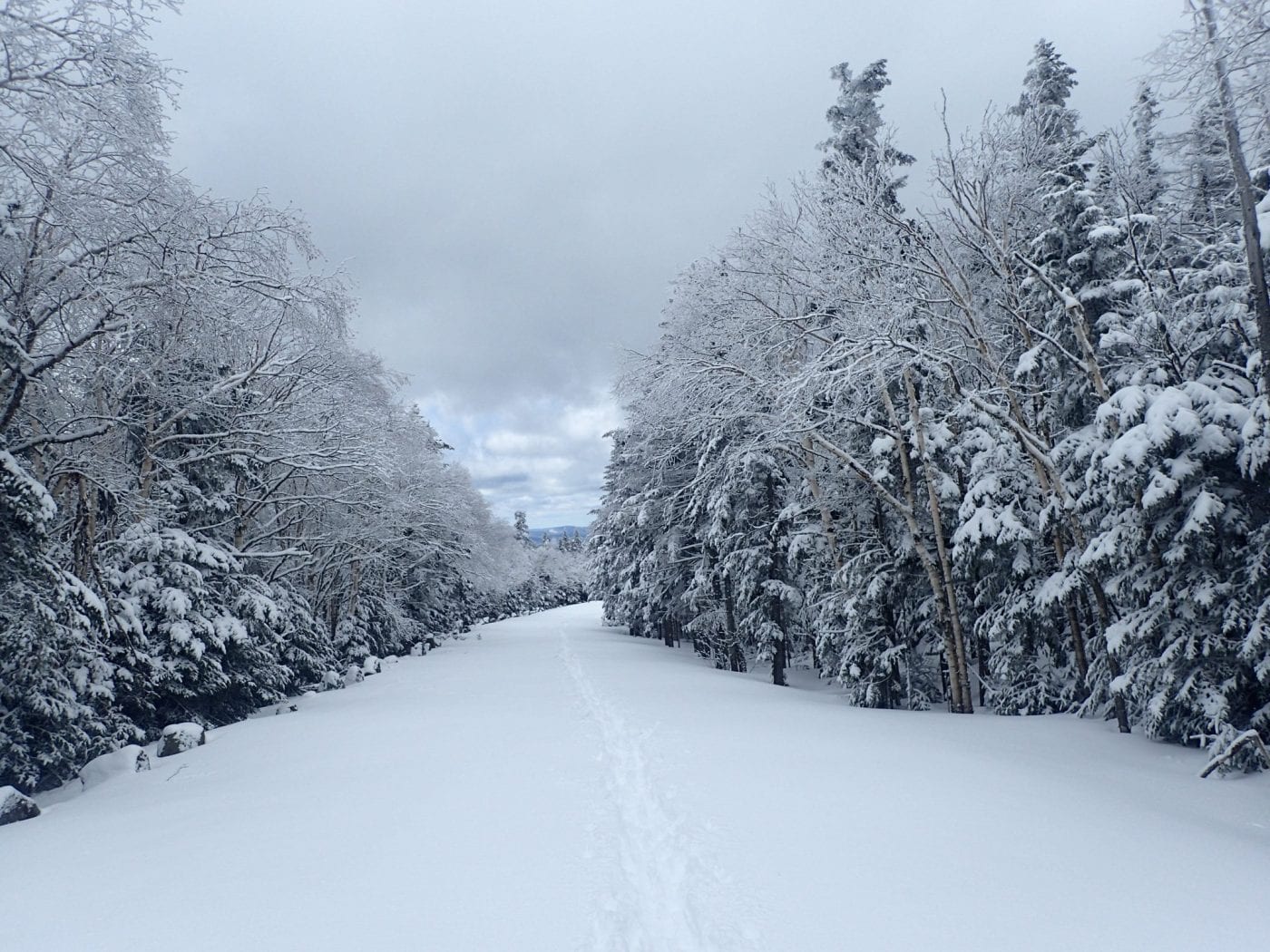 whiteface toll road ski