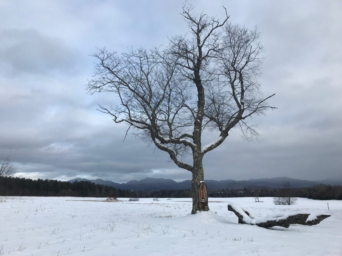 Adirondack winter