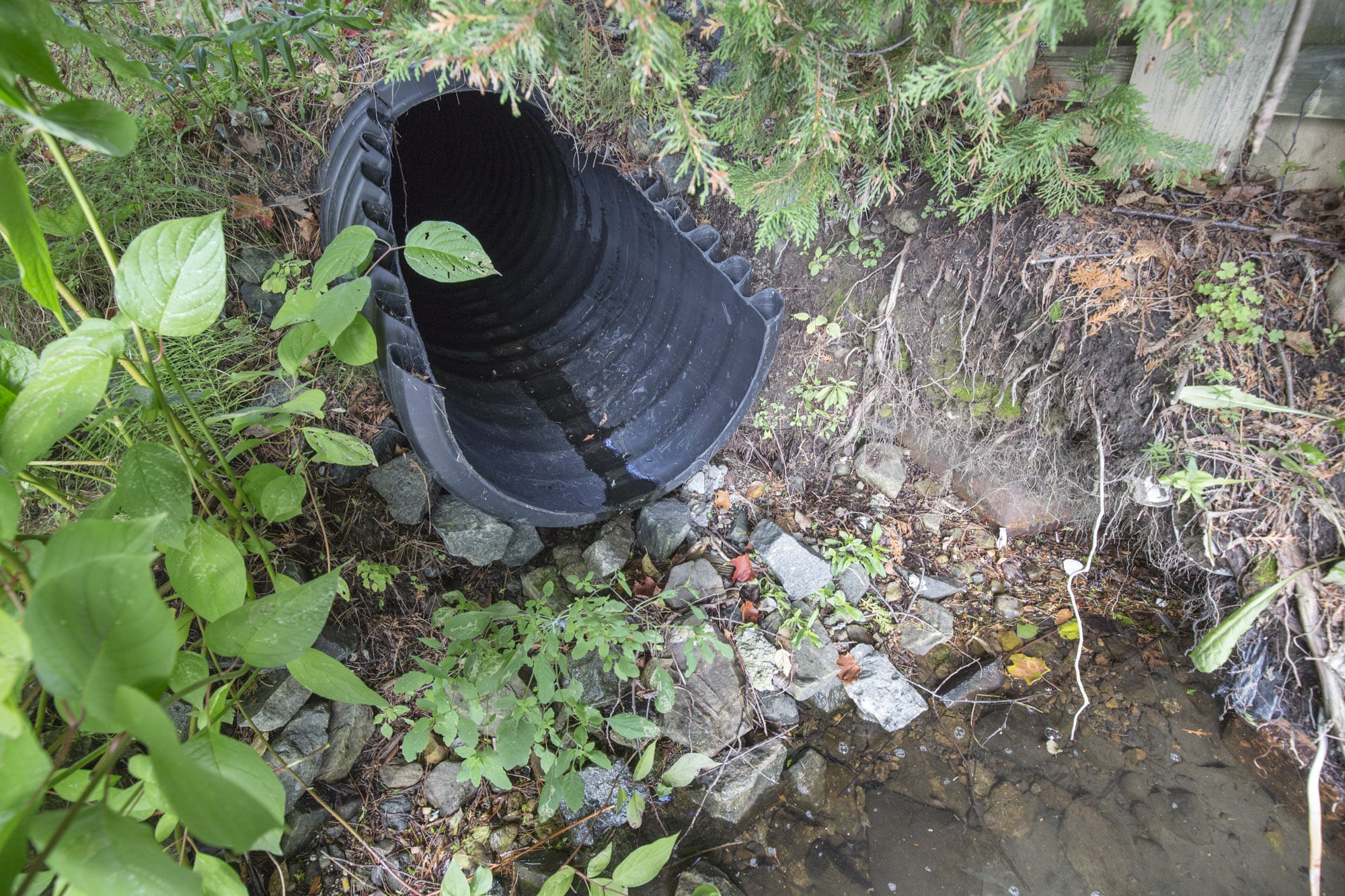 Volunteers Play Key Role In Fighting Water Pollution - Adirondack Explorer