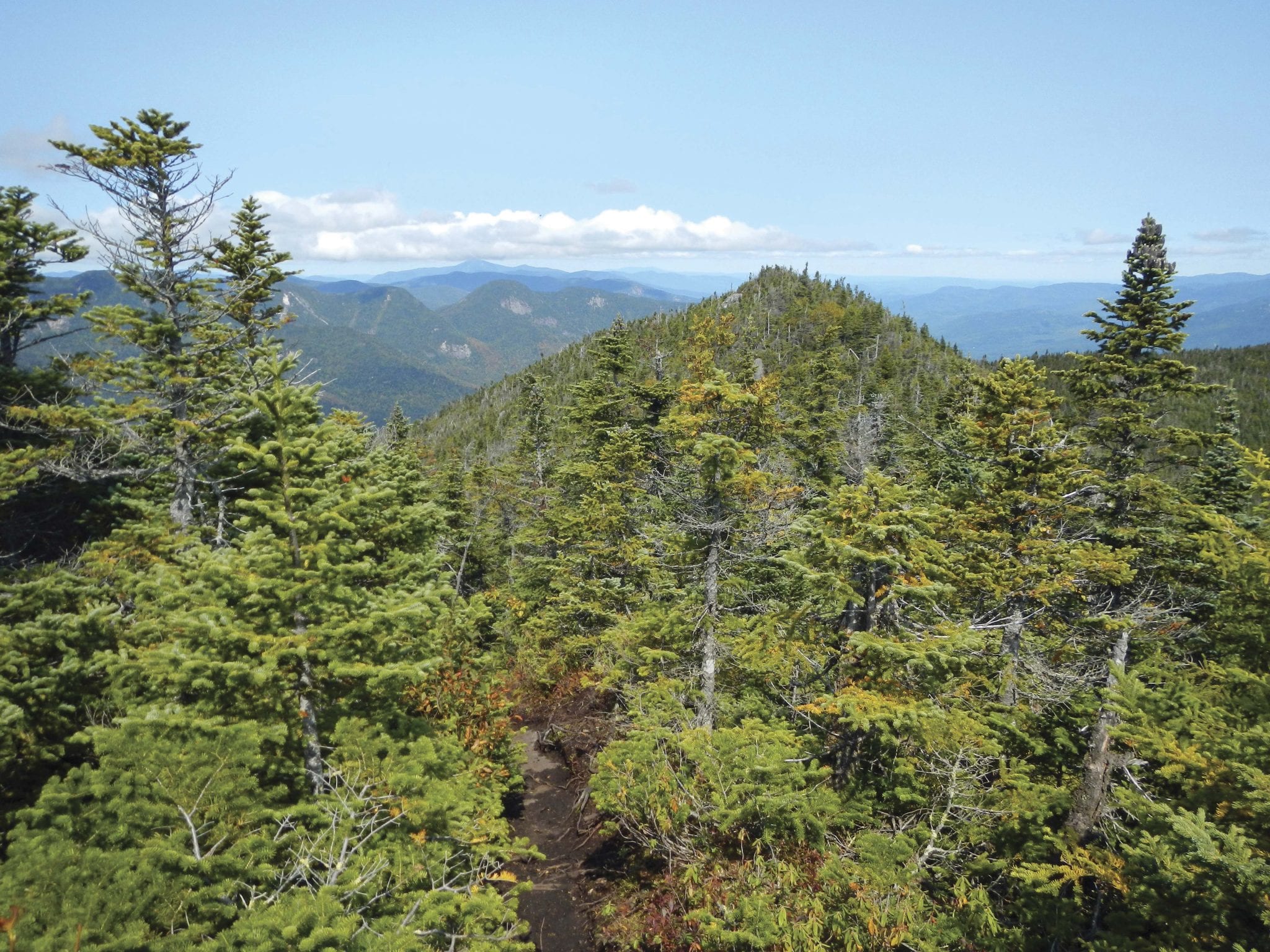 A view of Dial Mountain from Nippletop. Photo by Lisa Ballard