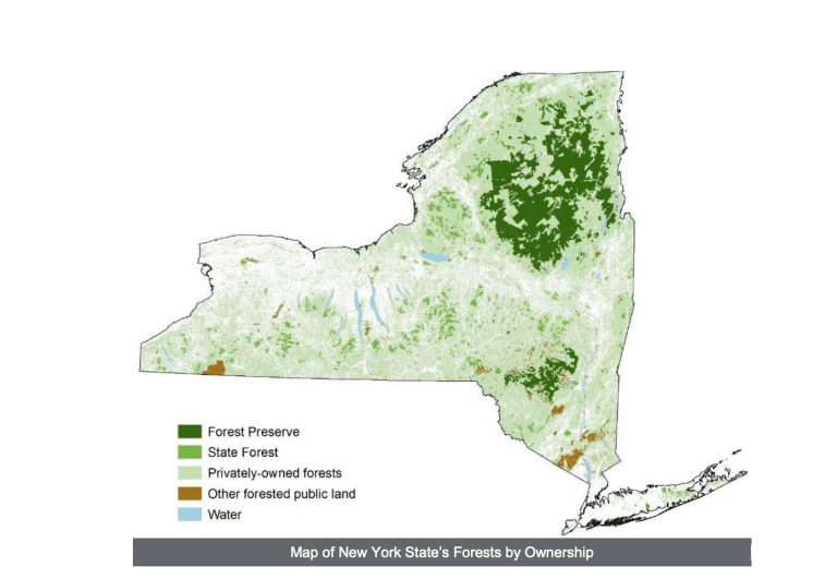 NY updates 10-year forest conservation plan - Adirondack Explorer