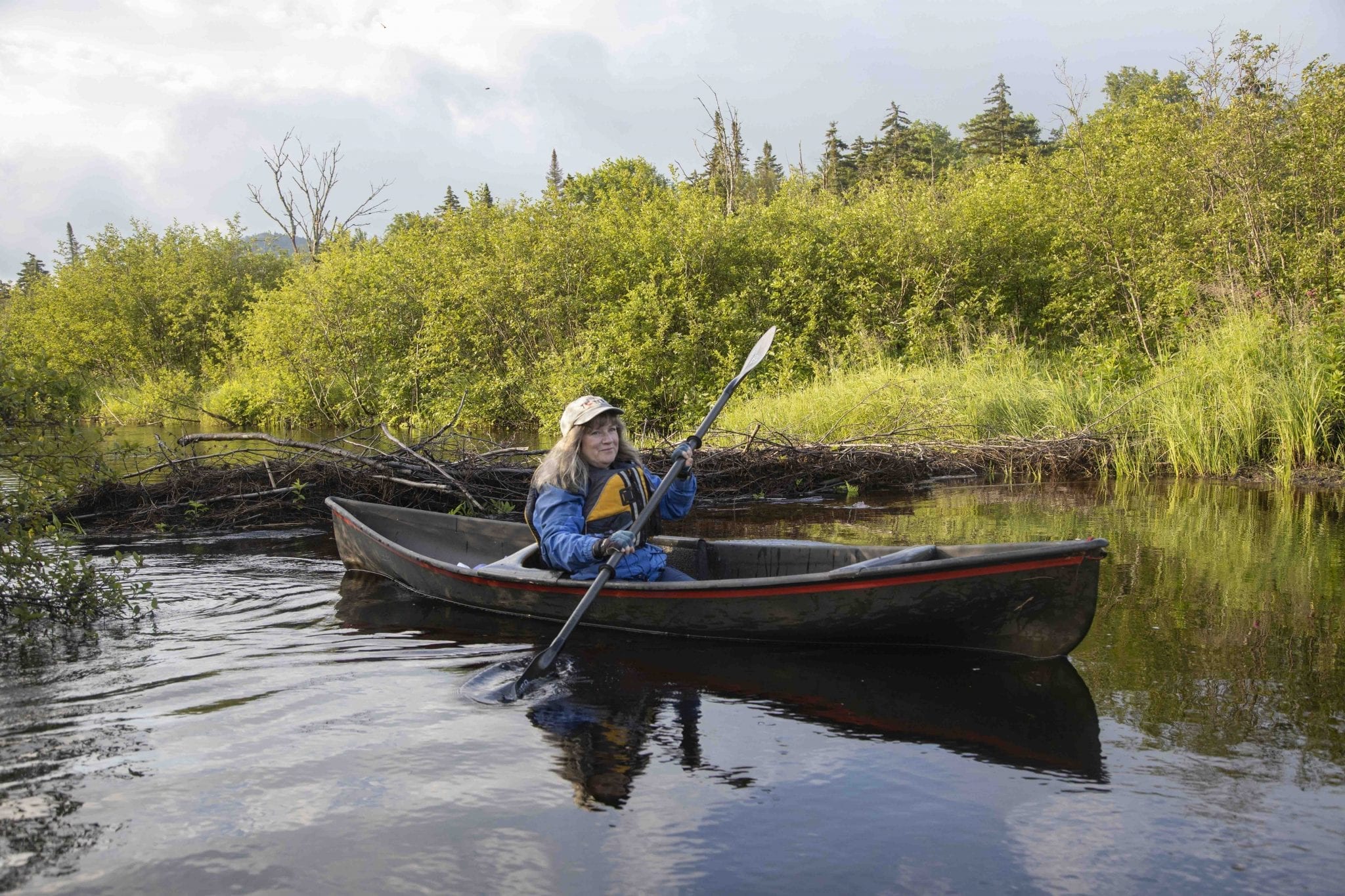 Birding On Fishing Brook - Adirondack Explorer