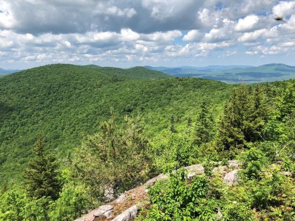 Norton Peak offers sweeping views, but no trail - Adirondack Explorer