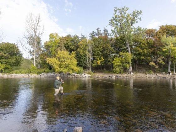 Rivers and Salmon Series: rewilding the Boquet and Saranac rivers