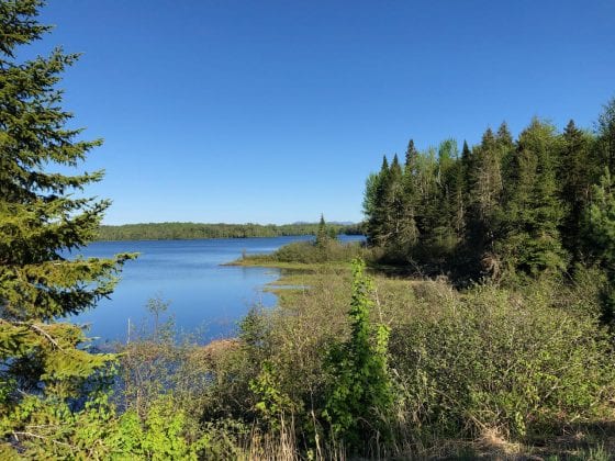 Riding the rails on the Adirondack Rail Trail: An early assessment