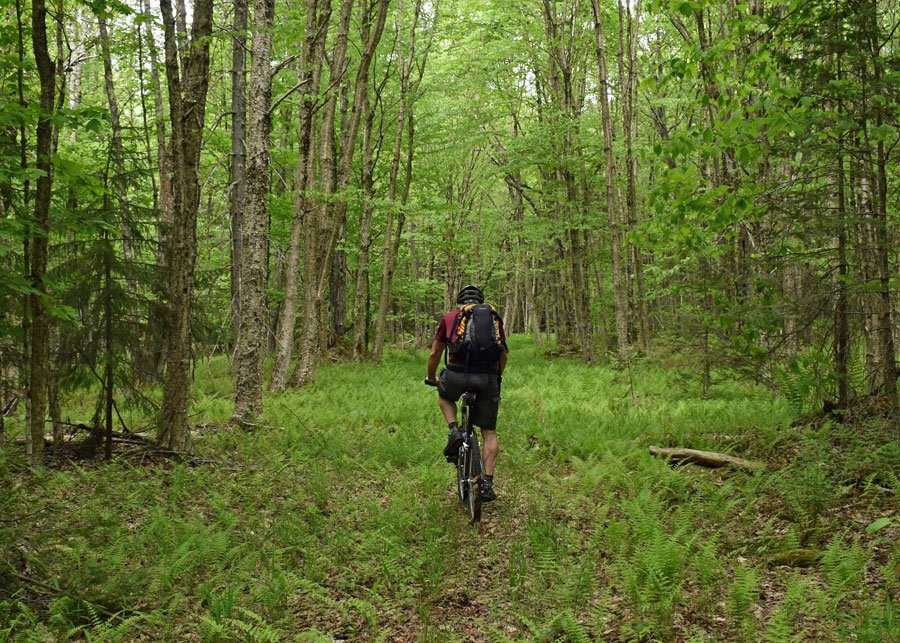 Woods biking to county line monument