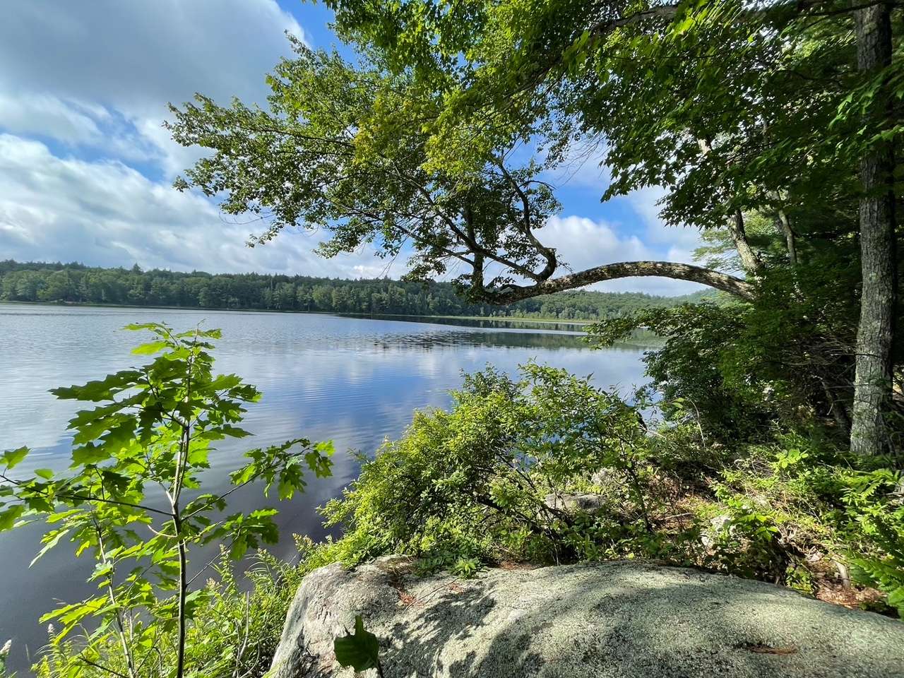 Good Luck Lake toward its northern end.