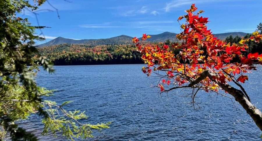 Moose Pond: Boreas Ponds of the north - Adirondack Explorer