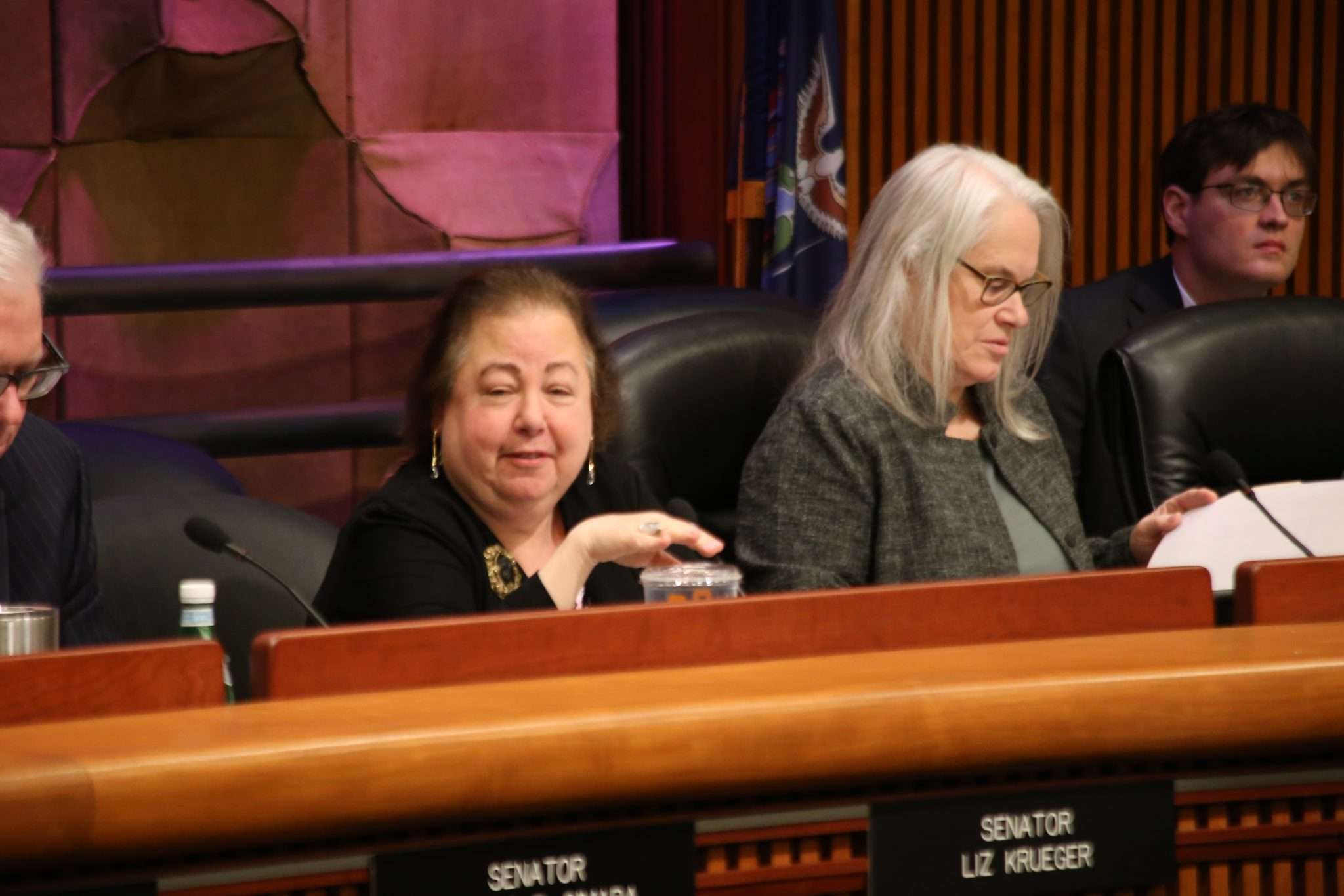 Senate Finance Committee Chair Liz Krueger and Assembly Ways and Means Committee Chair Helene E. Weinstein preside over a budget hearing on the environment on Feb. 14 at the New York State Capitol in Albany.