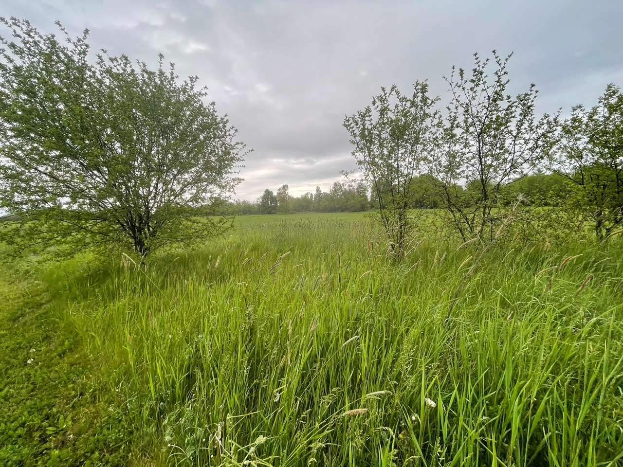 Fireman’s field, proposed site of a apartment development in Ticonderoga.