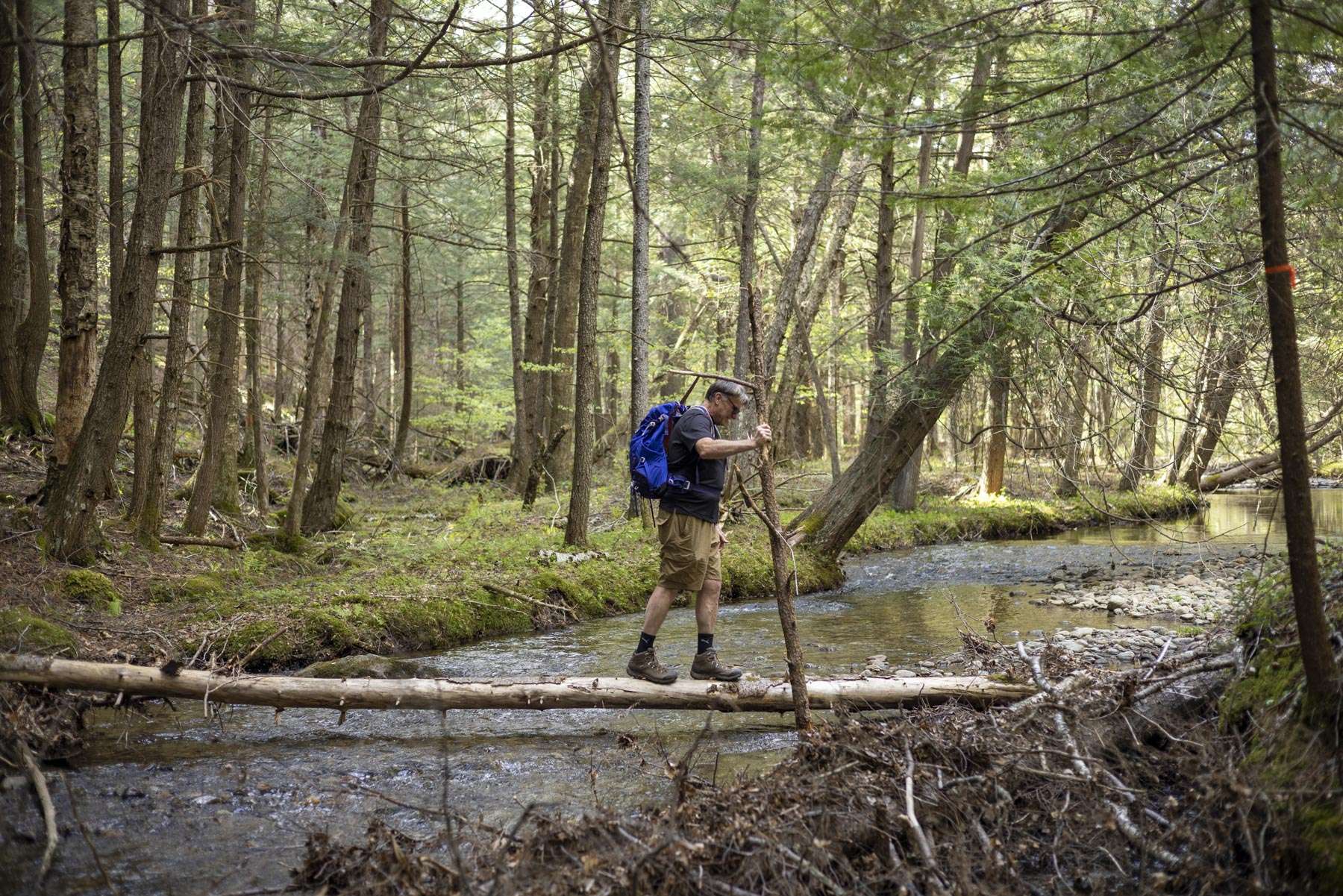 A Schroon Lake hike, with black flies - Adirondack Explorer