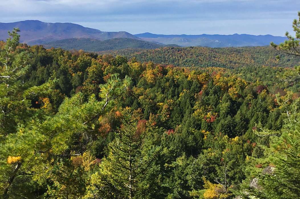 A view toward the High Peaks from the proposed Moriah Wilderness Preserve. Photo by Bob Linck