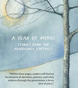 year of moons book cover