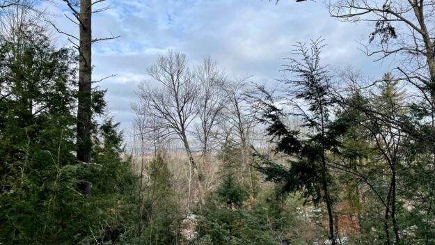 Open woods recovering from heavy logging offer glimpses of the Adirondack foothills.