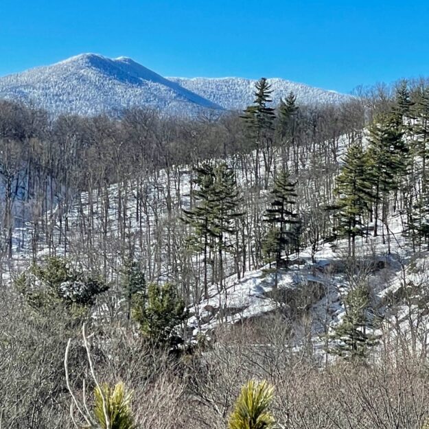 mountain from clements pond