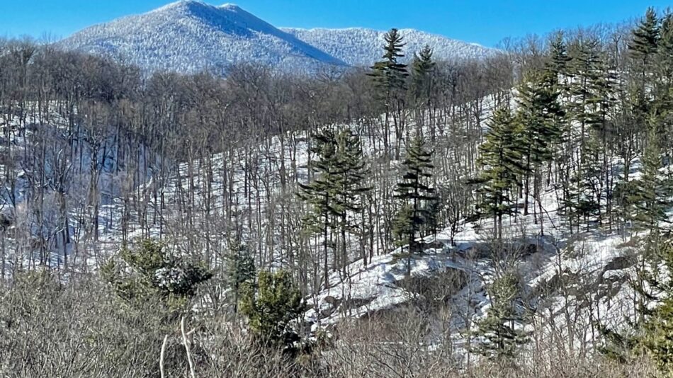 mountain from clements pond