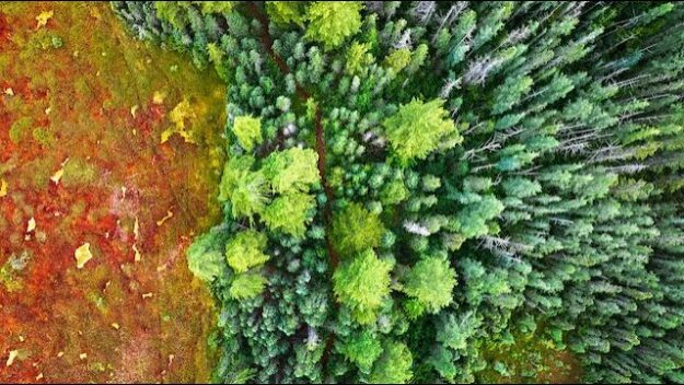 peatlands aerial photo