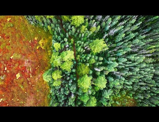 peatlands aerial photo