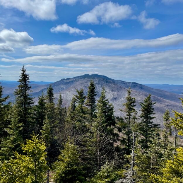 Debar Mountain from Baldface summit.