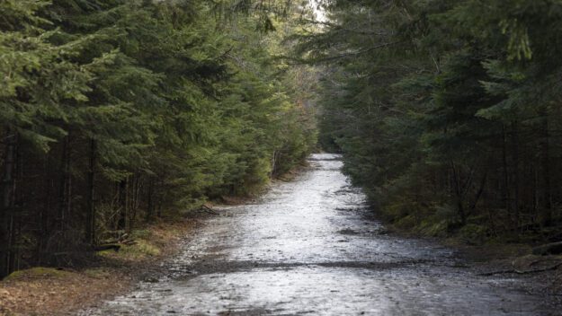 mud season trail