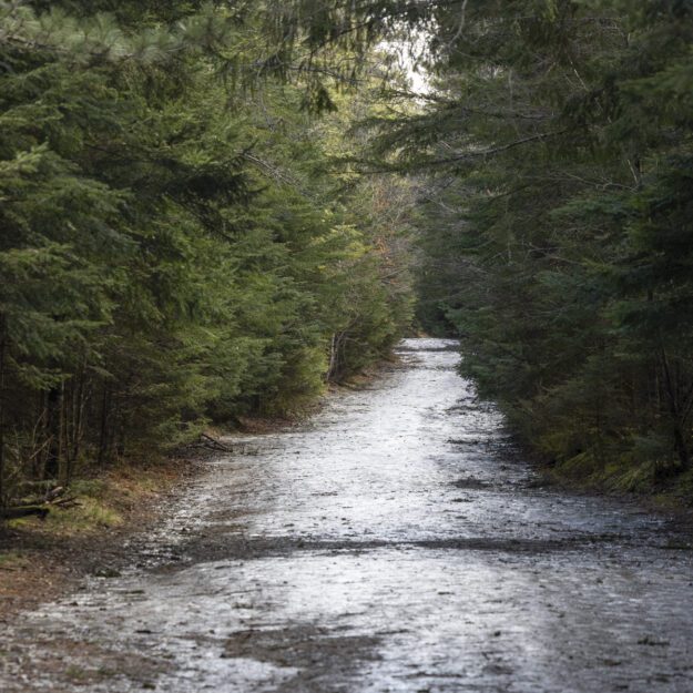 mud season trail