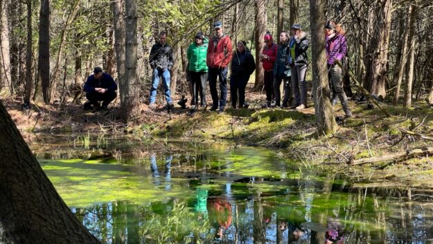 Clearing invasives such as buckthorn and honeysuckle at Essex Quarry revealed a small, scenic pond.