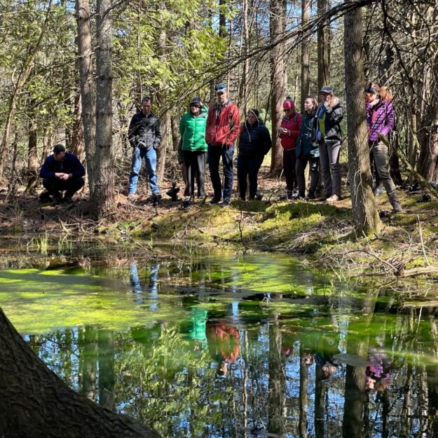 Clearing invasives such as buckthorn and honeysuckle at Essex Quarry revealed a small, scenic pond.