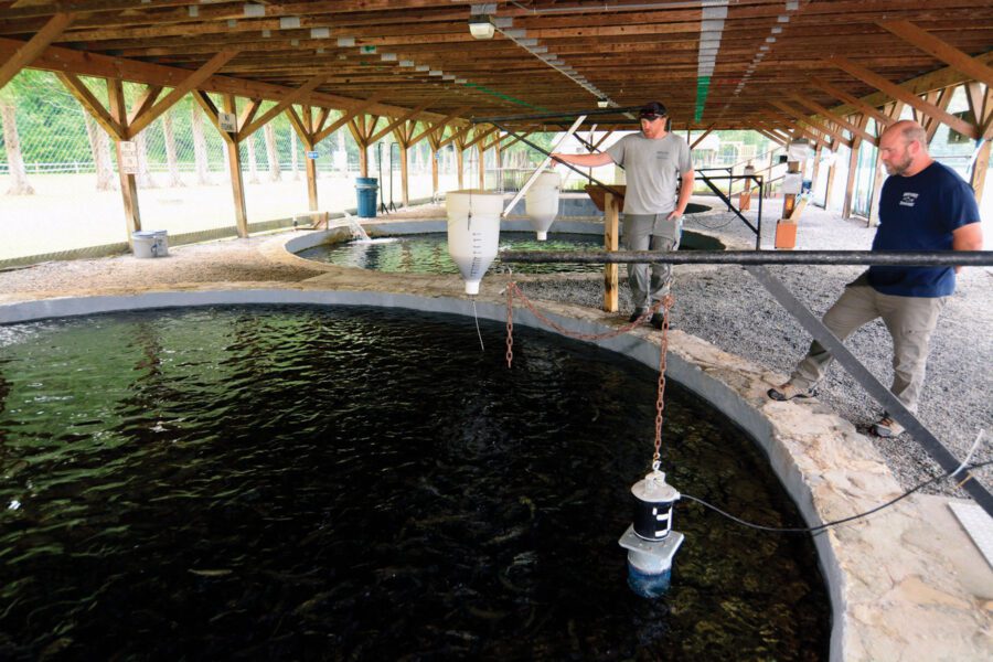 fish hatchery pool of water