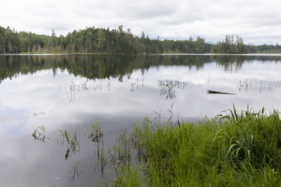 Mud Pond is part of the Cedarlands Conservation Easement. Photo by Mike Lynch