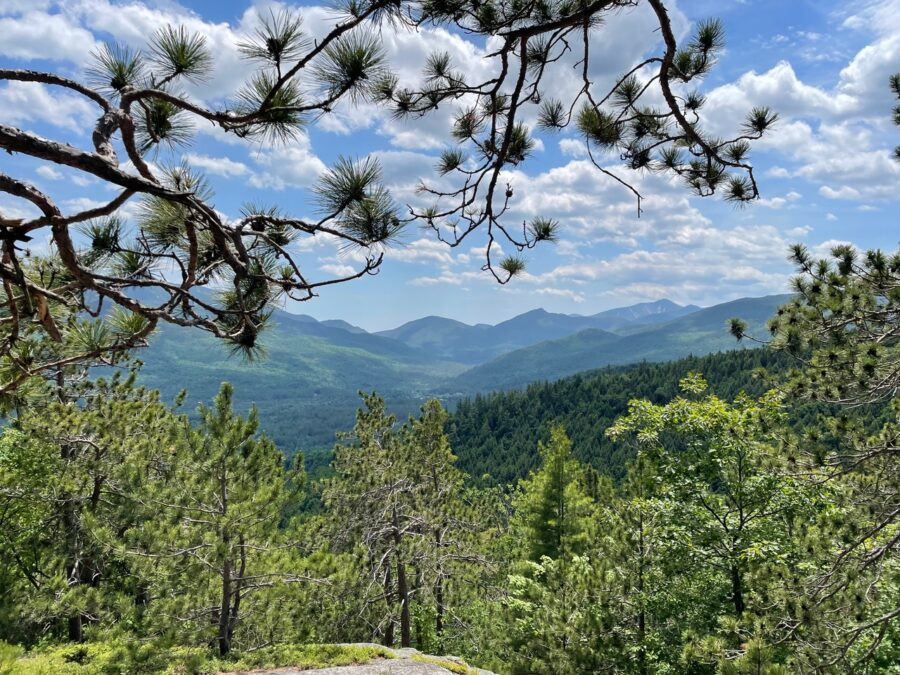 An early view on the Blueberry trail.
