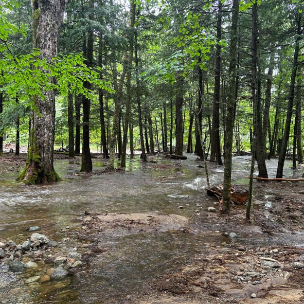 muddy trail