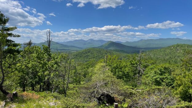 The view south from Payne Mountain.