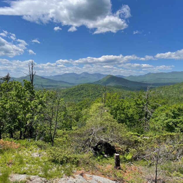 The view south from Payne Mountain.