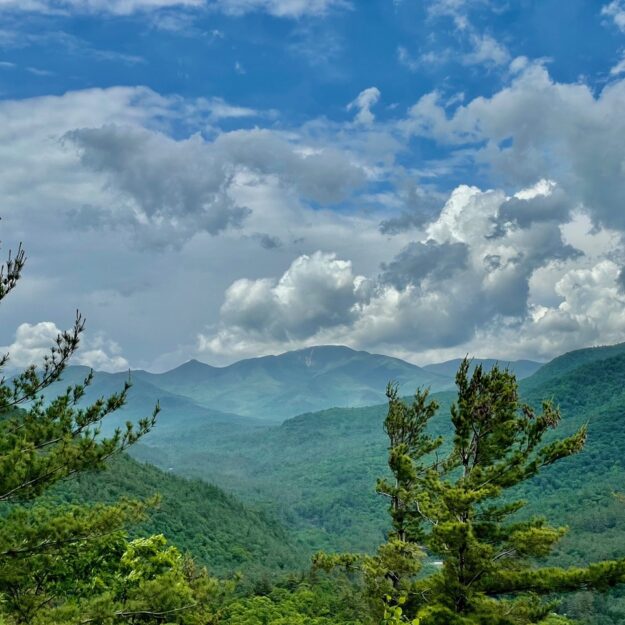 The High Peaks from Mt. Gilligan.