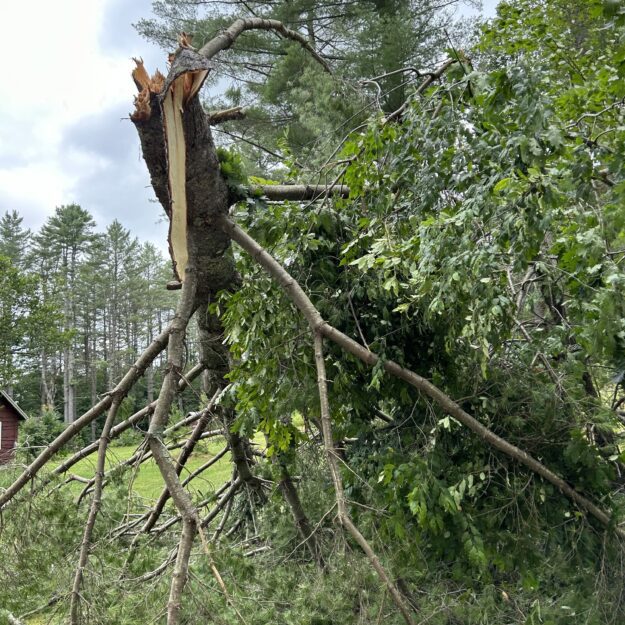 Tornado damage in Pisceo.