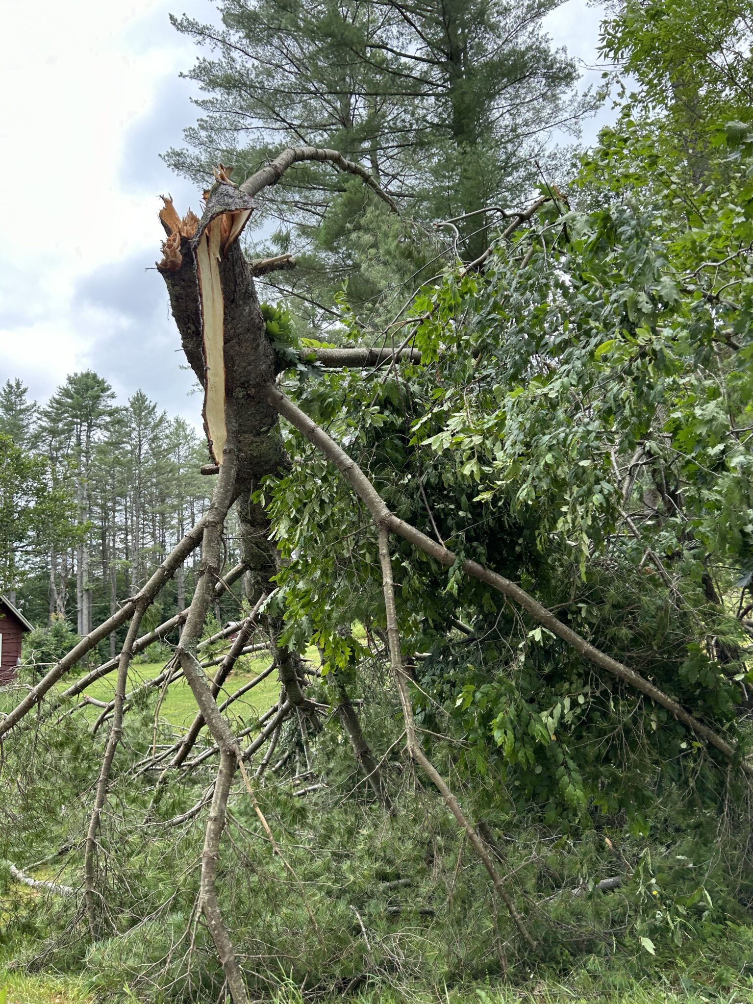 Post-storm investigations confirm two additional tornadoes in the Adirondacks
