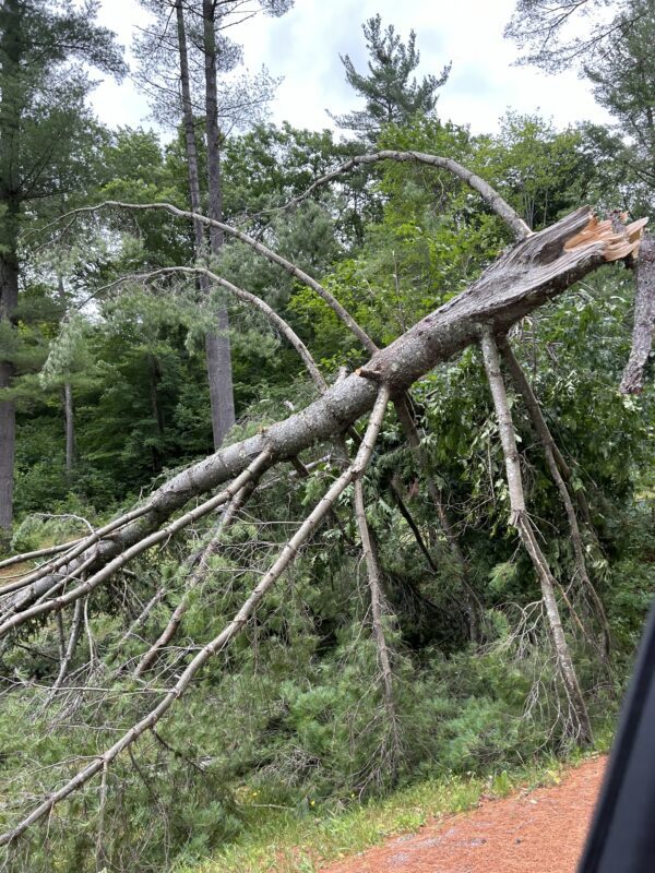 Tornado damage in Pisceo.