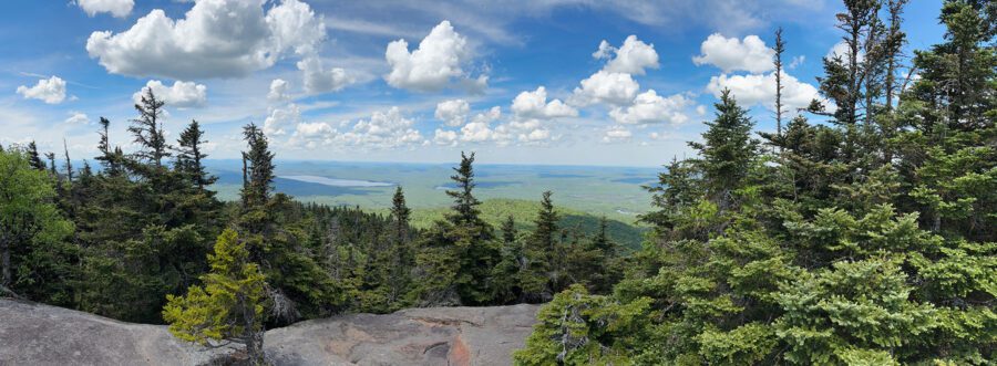 Mountain summit with trees and rocks.