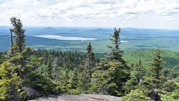 Mountain summit with trees and rocks.