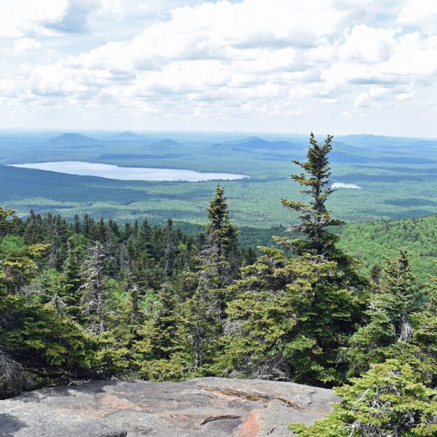 Mountain summit with trees and rocks.