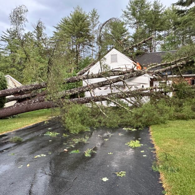 Photo 2 – Trees landed on multiple houses, including this one, on Crownwood Lane in Queensbury on Tuesday, July 16, 2024.