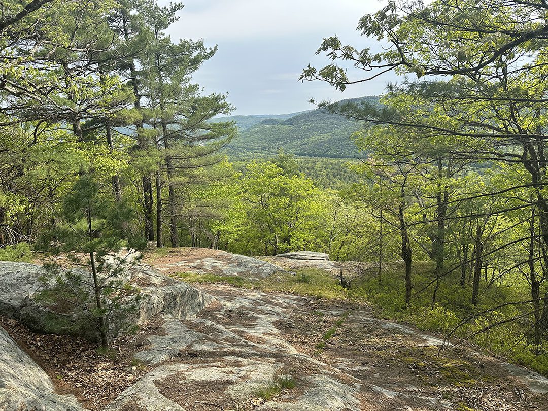 A view from Truesdale Hill in Lake George. Photo courtesy of LGLC