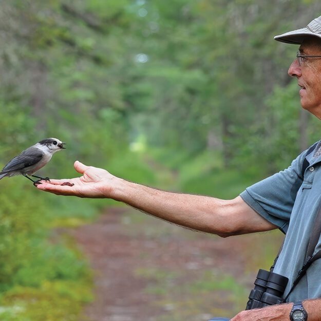 Man feeds a bird out of his hand.