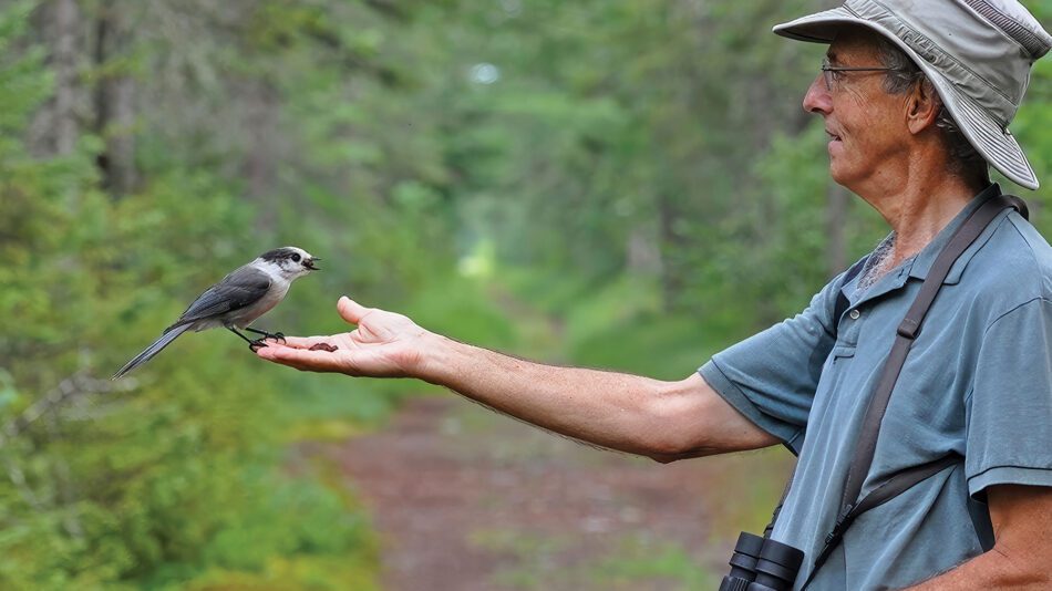 Man feeds a bird out of his hand.