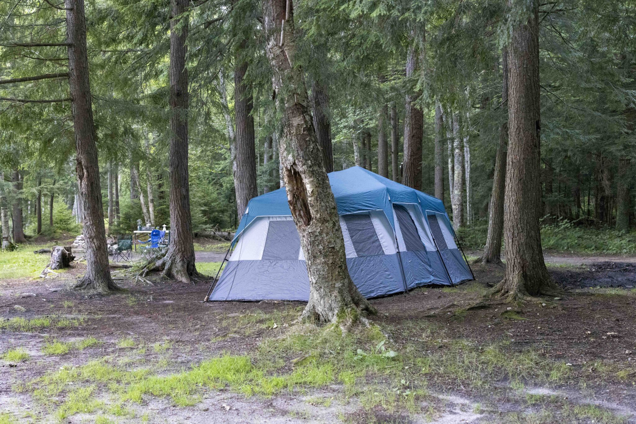 The Floodwood loop passes by multiple campsites in the Saranac Lake Wild Forest. Photo by Mike Lynch