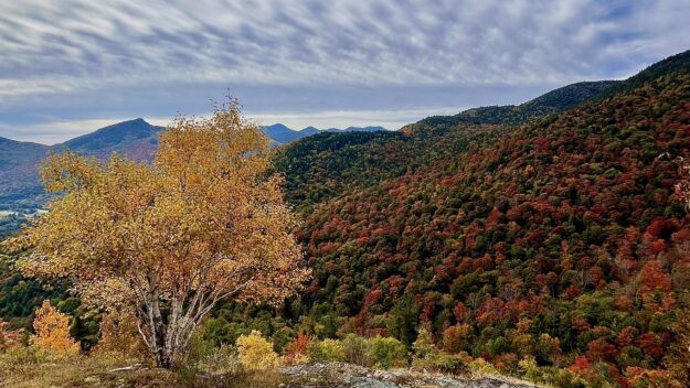 A stunning fall shot of Rooster Comb and Snow mountains, from reader Prachi Oke.