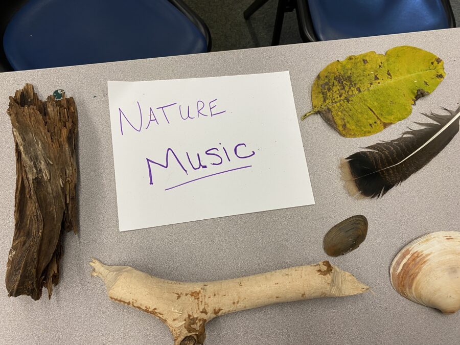 "Nature music" objects on display in the nature sensory play area at the Adirondack Nature Festival for People with Disabilities. 