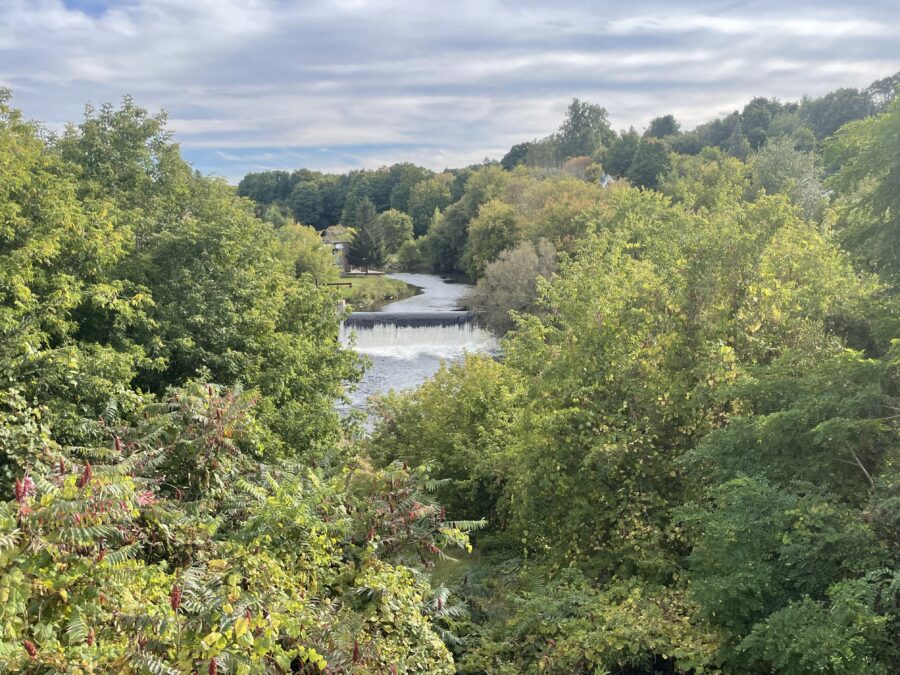 Water spills over a dam on a river surrounded by trees