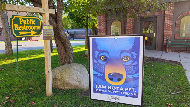 a sign urging people not to feed bears in the town of webb